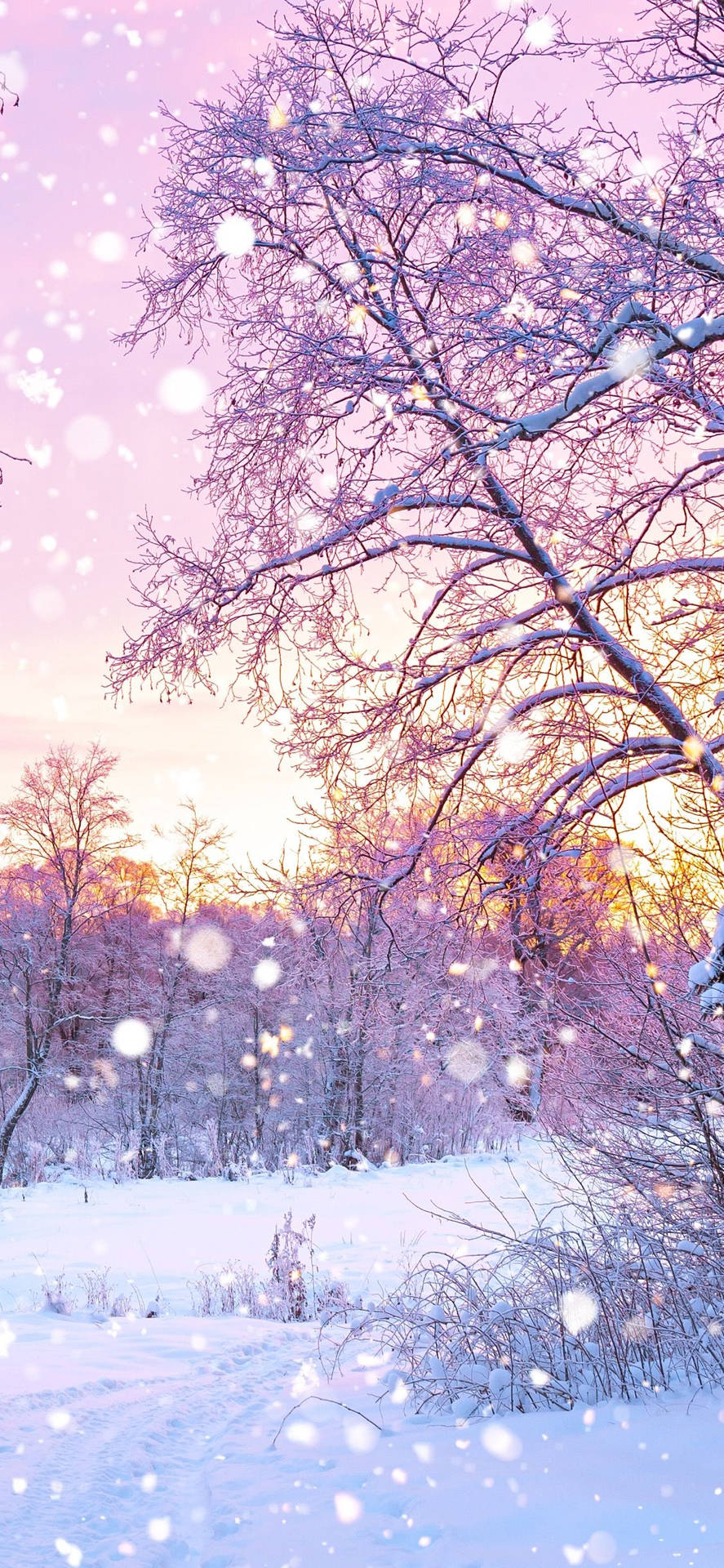 Cute Winter Iphone Wallpapers