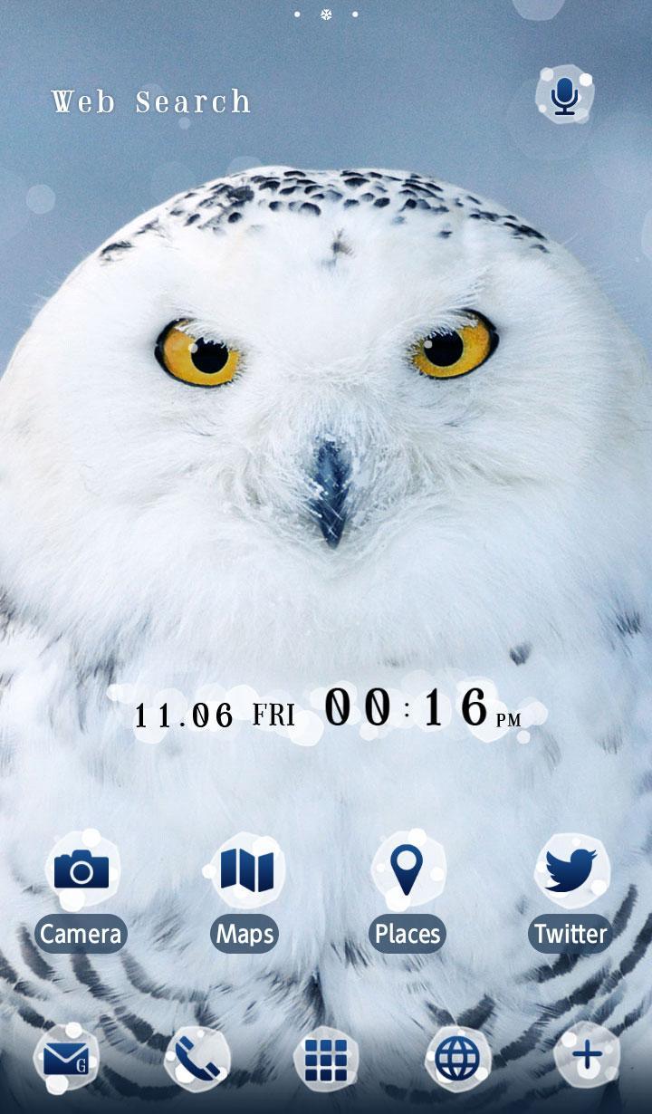 Cute Winter Owl Wallpapers