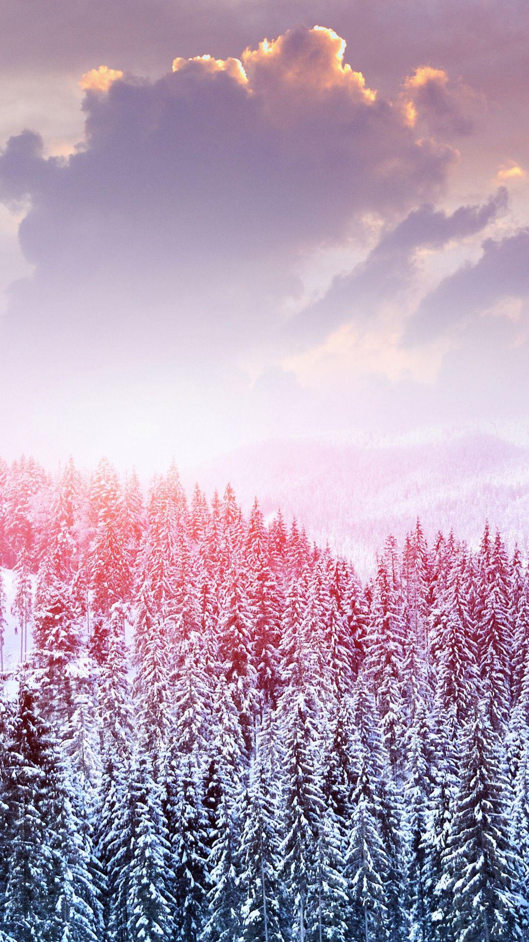 Cute Winter Phone Wallpapers