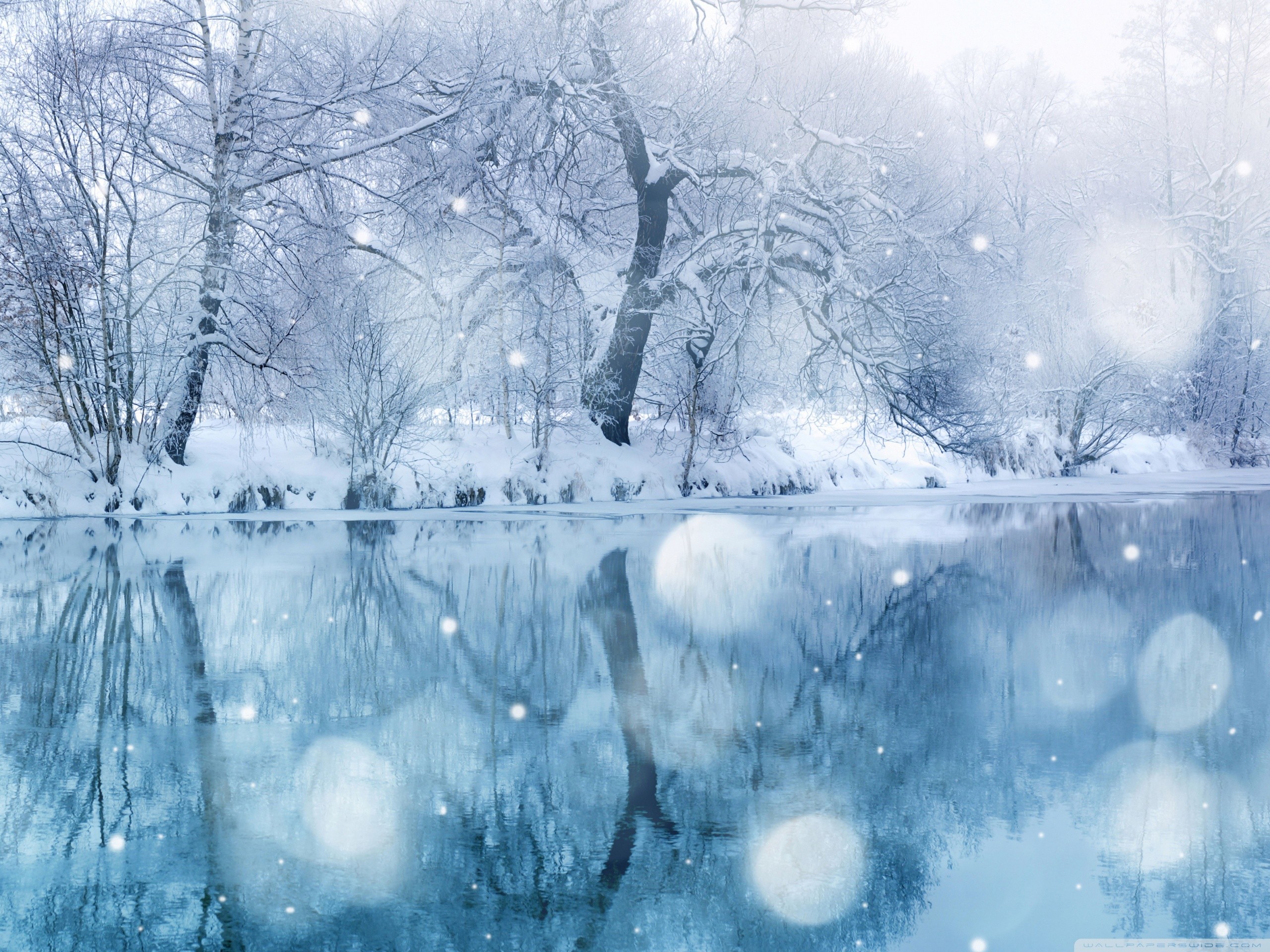 Cute Winter Wallpapers