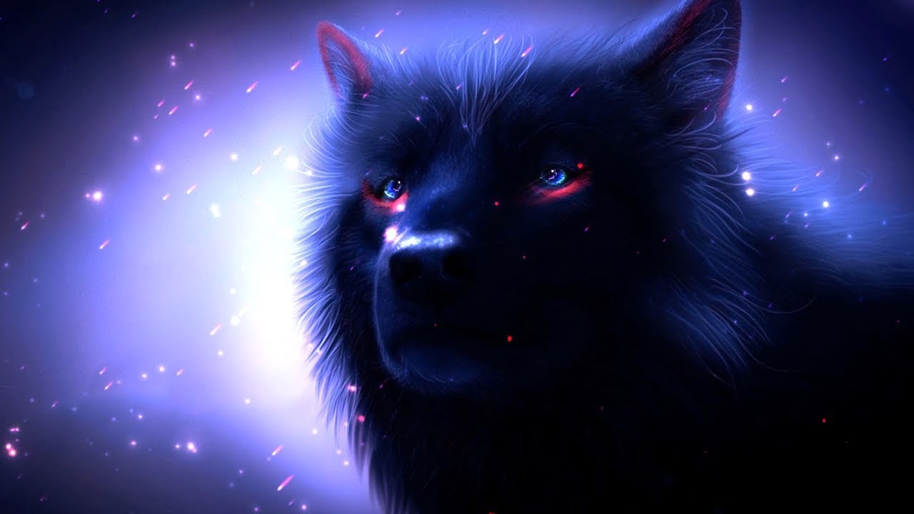 Cute Wolf Wallpapers