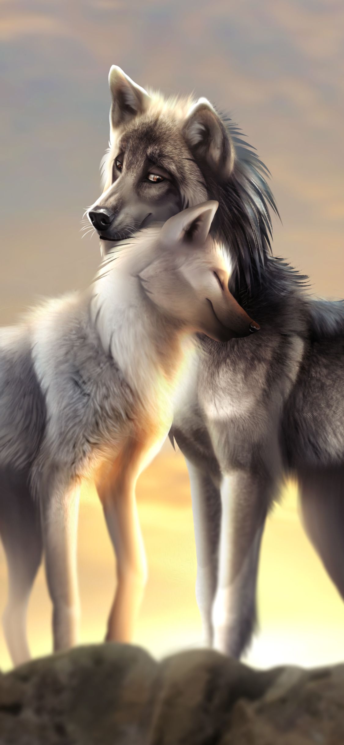 Cute Wolves Wallpapers Wallpapers