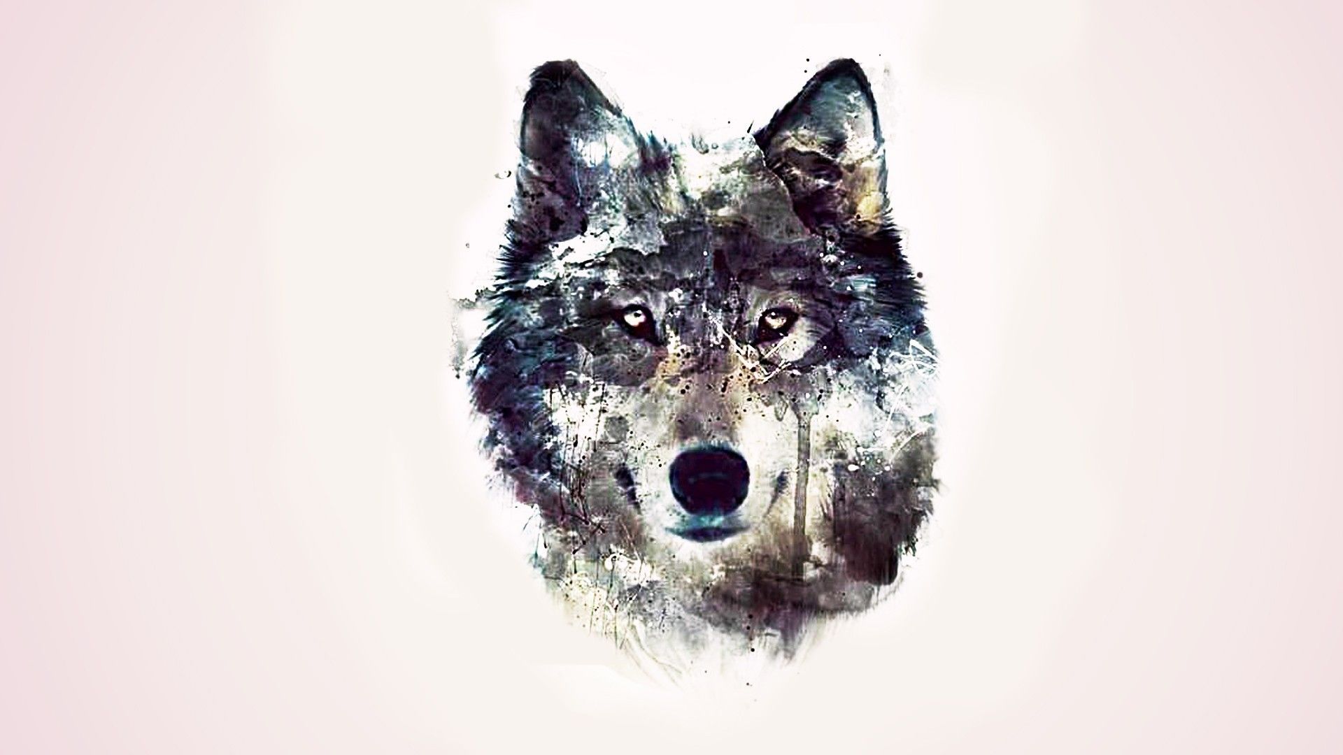 Cute Wolves Wallpapers Wallpapers