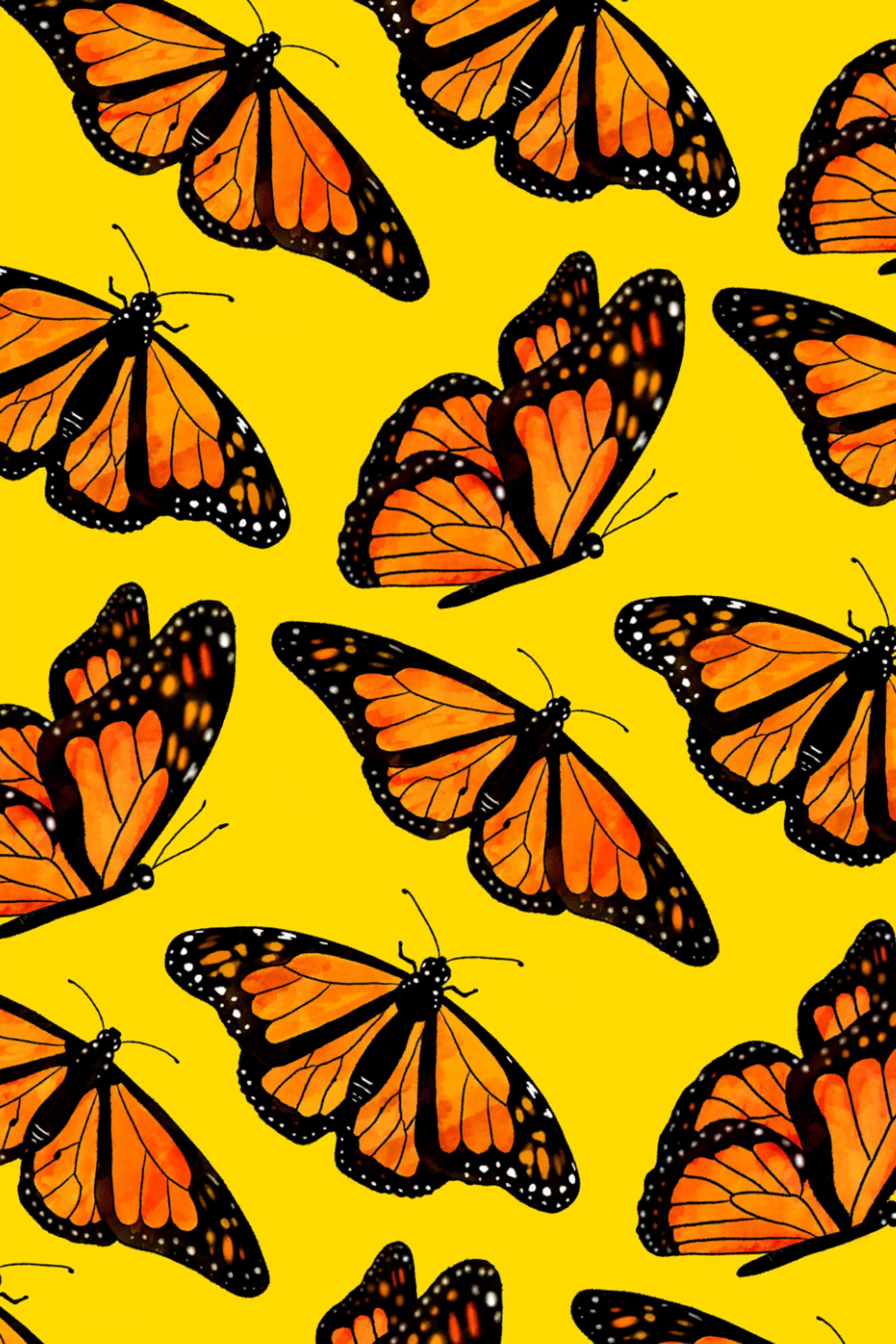 Cute Yellow Butterflies Wallpapers