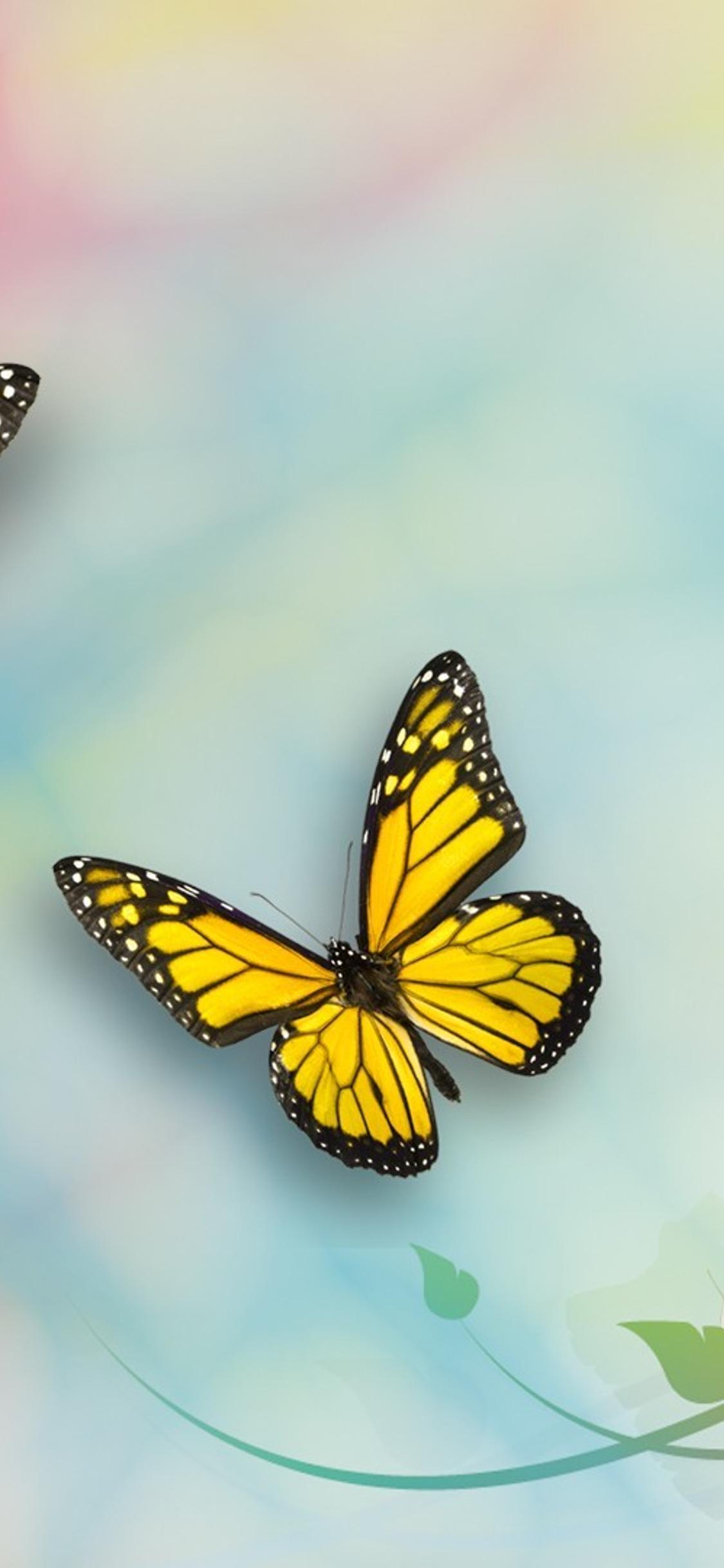 Cute Yellow Butterflies Wallpapers