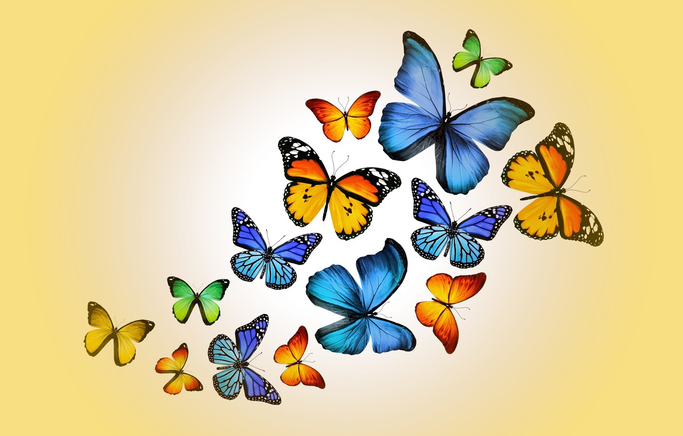 Cute Yellow Butterflies Wallpapers