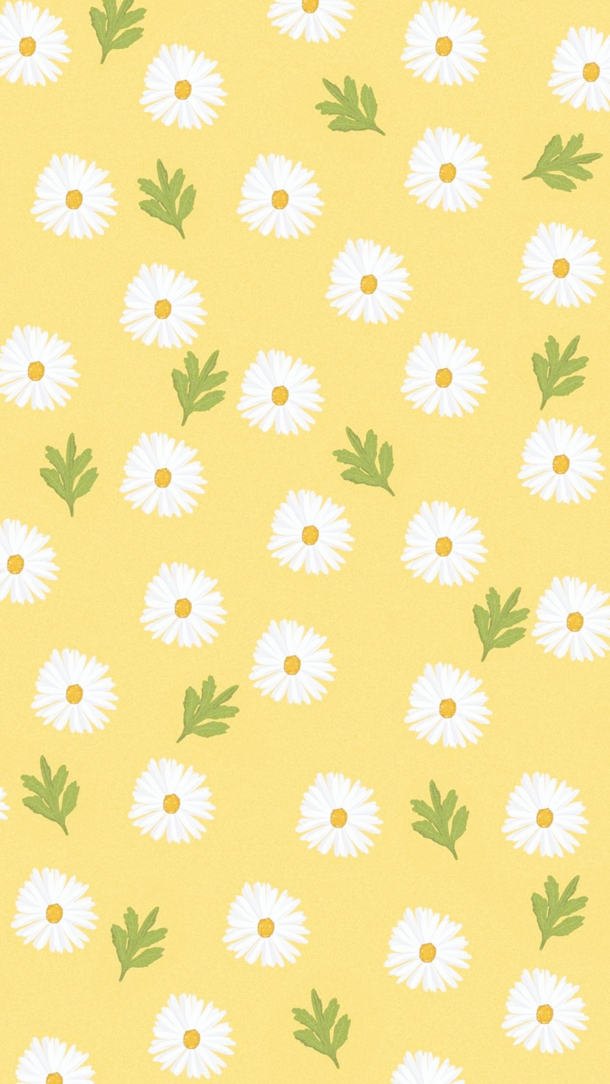 Cute Yellow Daisy Wallpapers