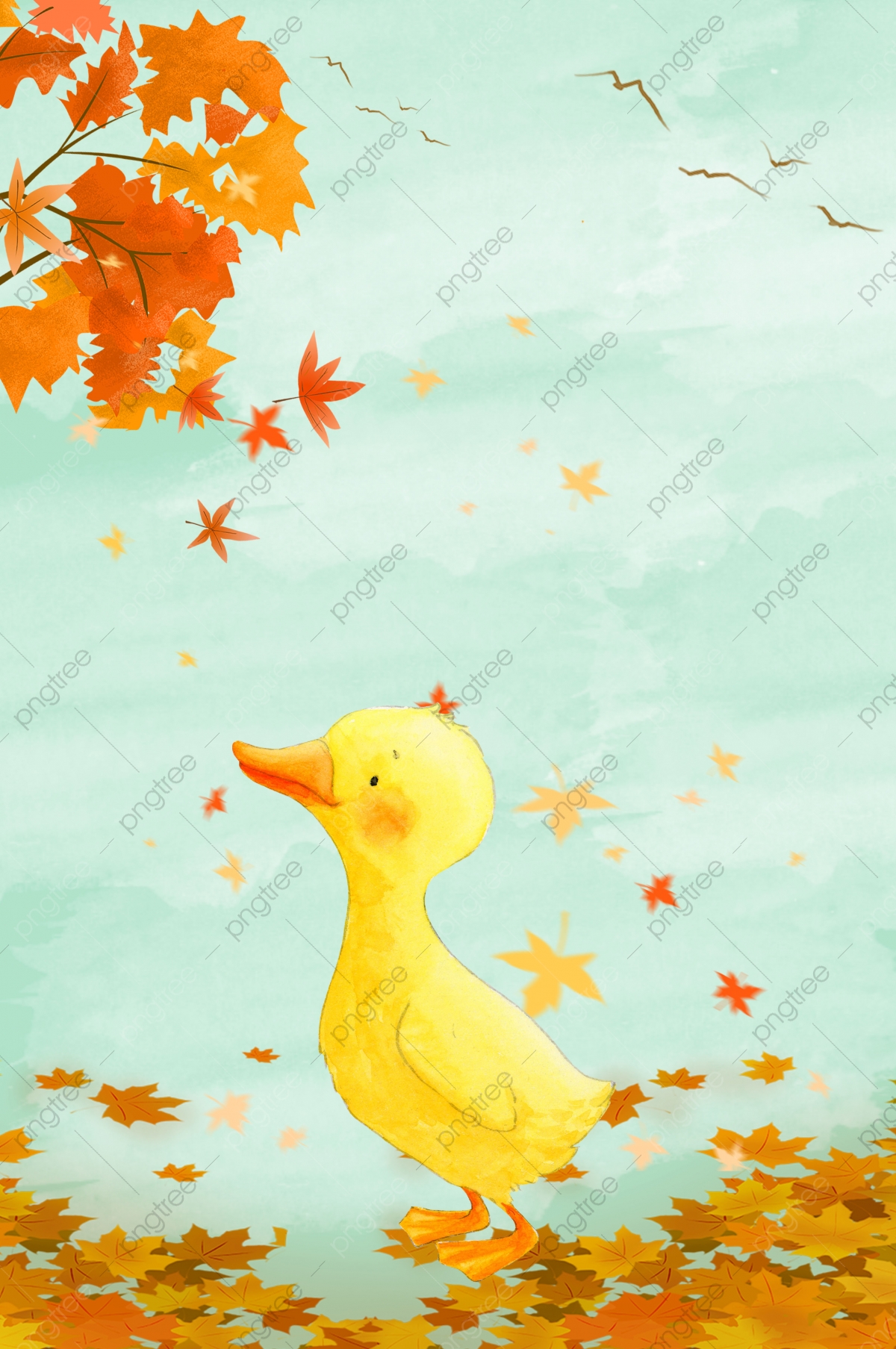 Cute Yellow Ducks Wallpapers