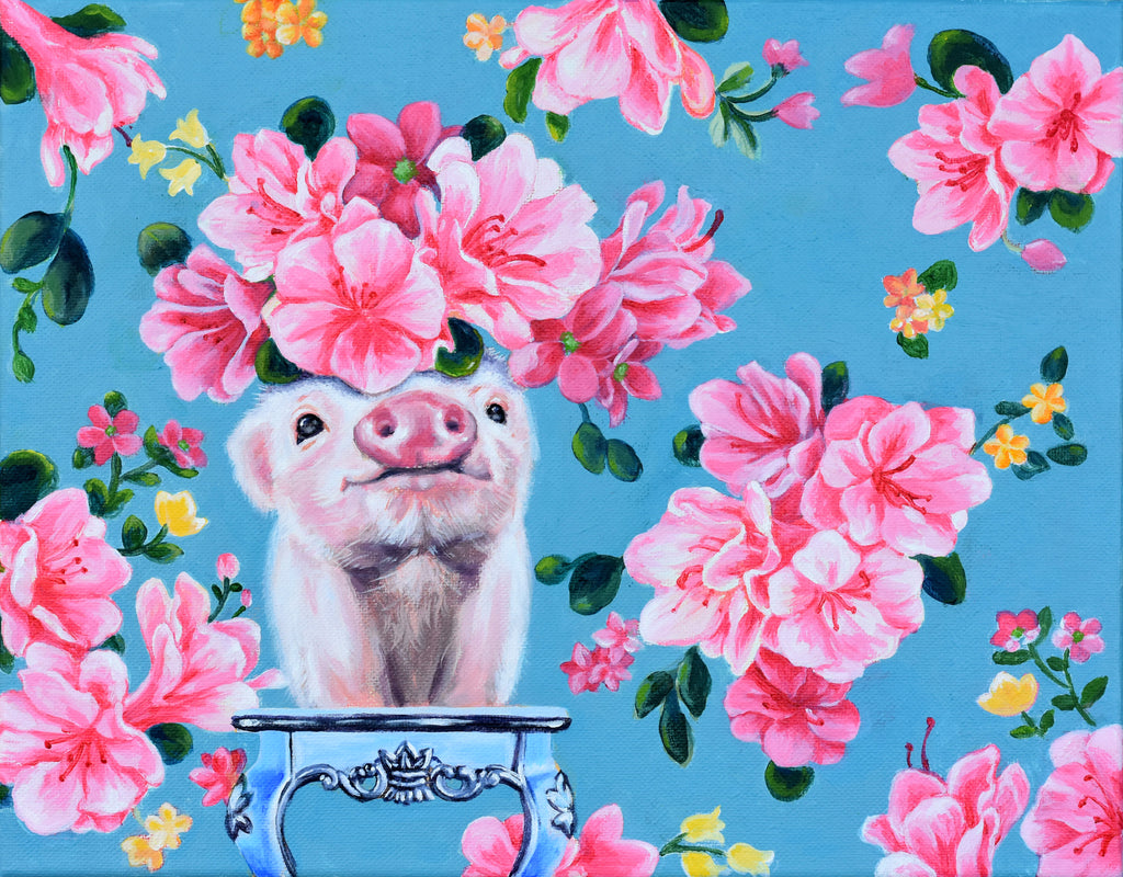 Cutest Baby Pig Wallpapers