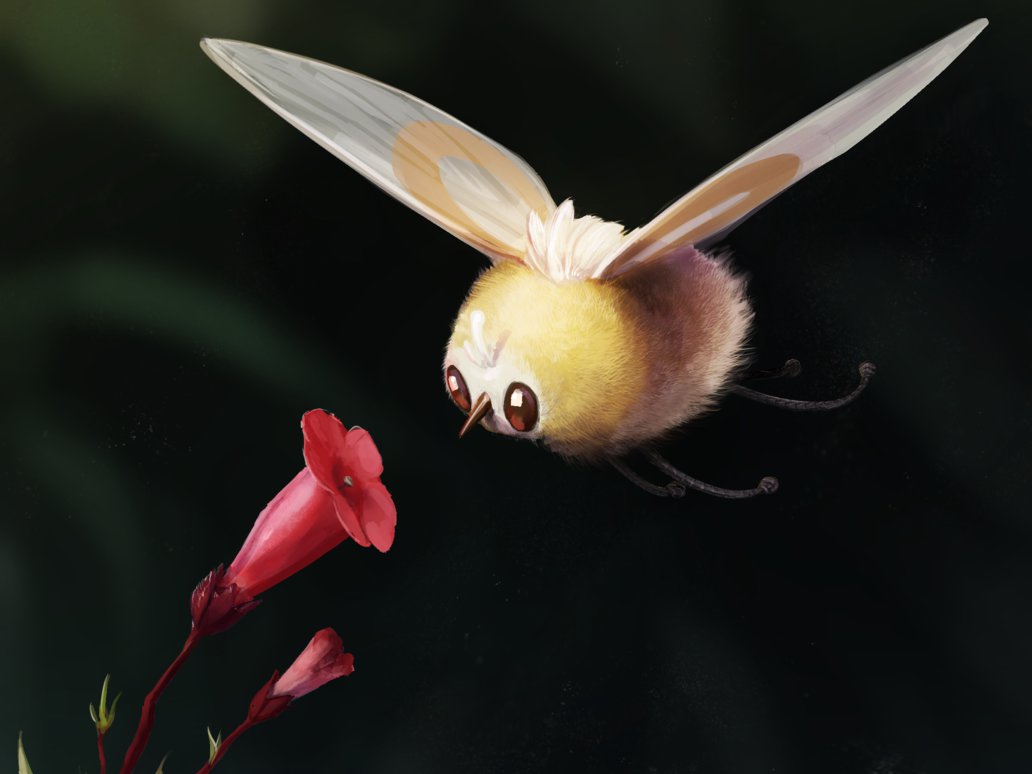 Cutiefly Hd Wallpapers