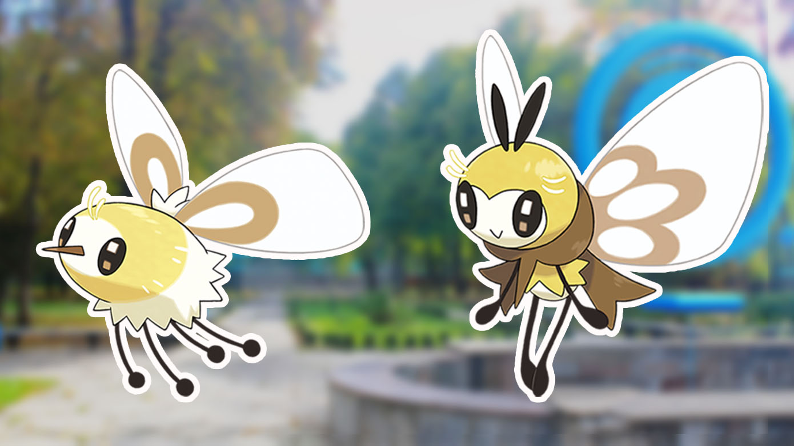 Cutiefly Hd Wallpapers