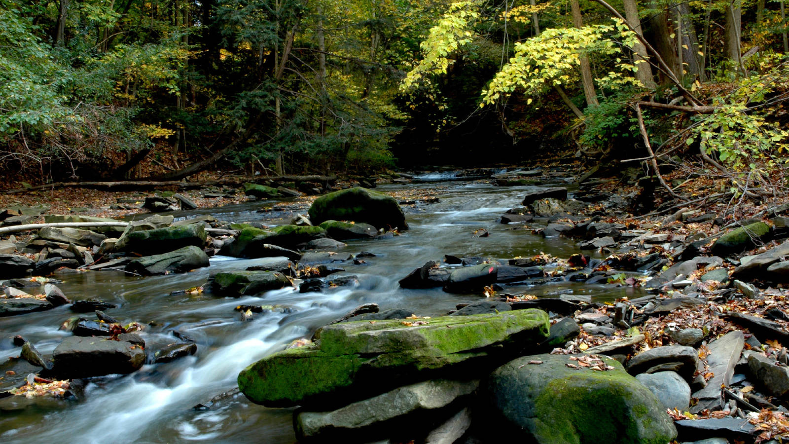 Cuyahoga Valley National Park Wallpapers