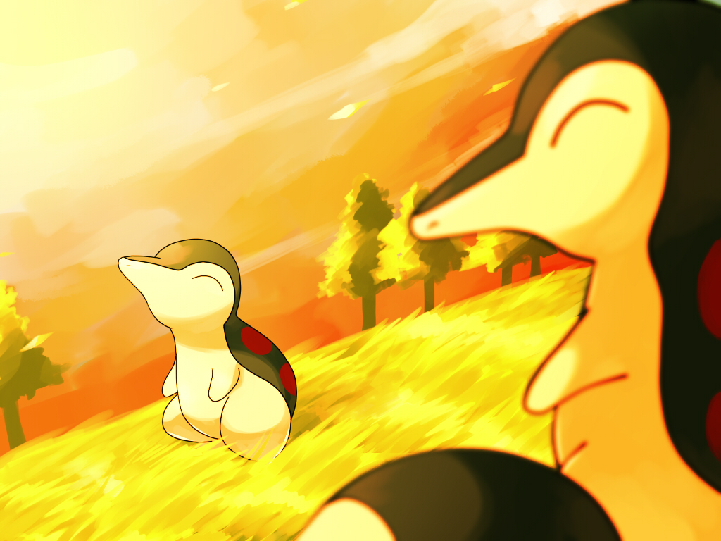 Cyndaquil Hd Wallpapers