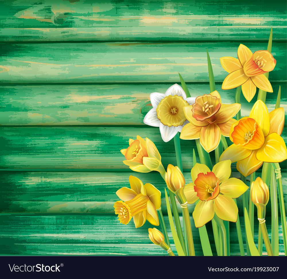 Daffodils Backgrounds