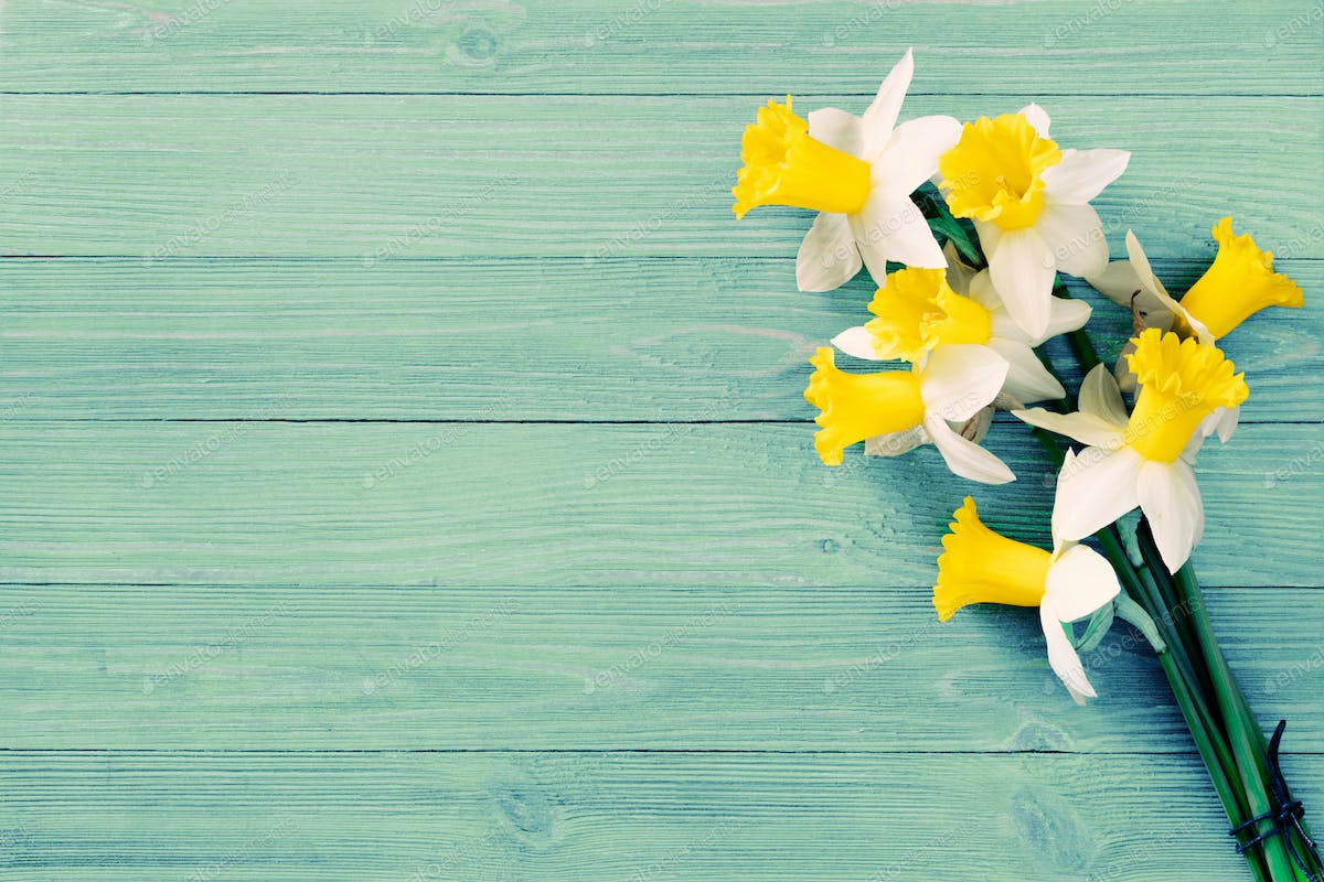 Daffodils Backgrounds