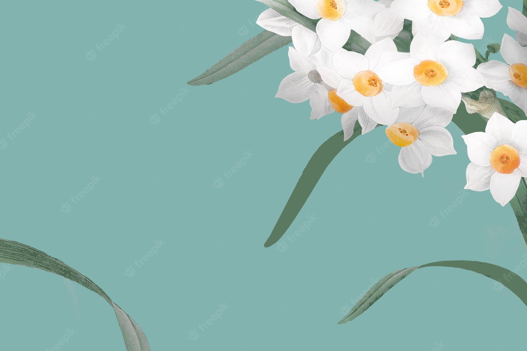 Daffodils Backgrounds