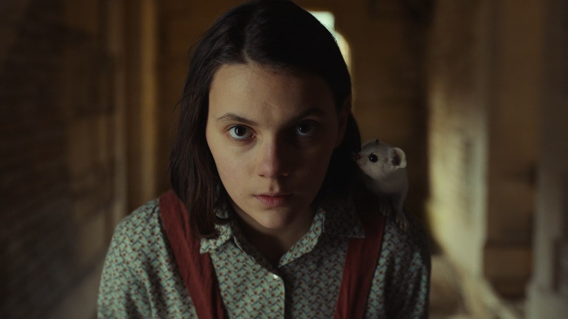 Dafne Keen His Dark Materials Wallpapers