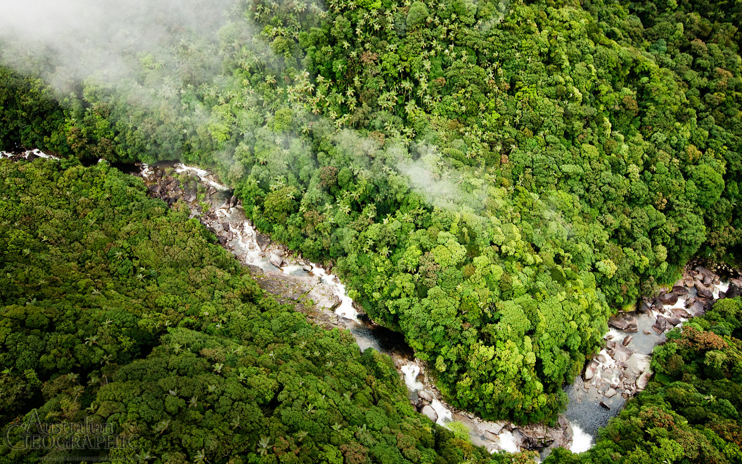 Daintree Rainforest Wallpapers