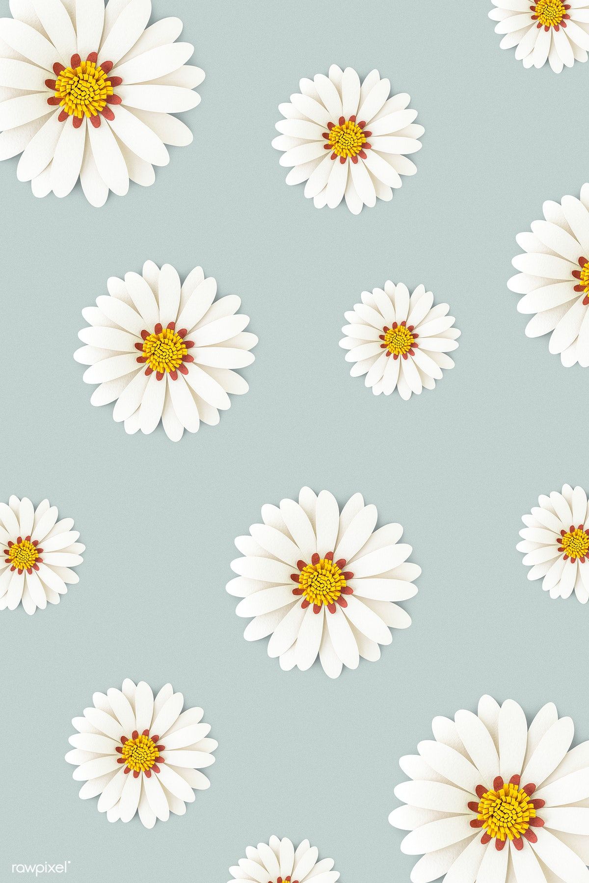 Daisies Wallpapers