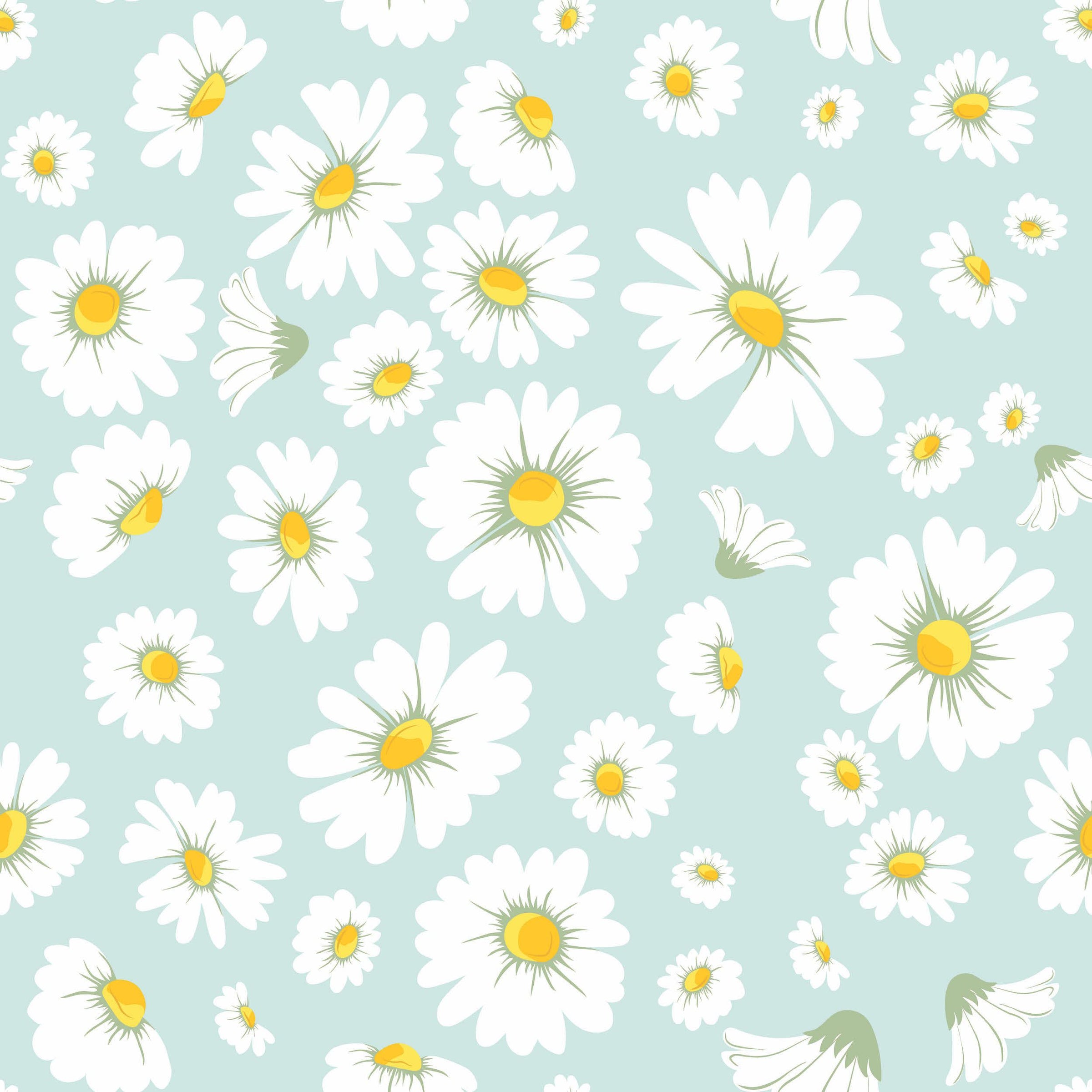 Daisies Wallpapers