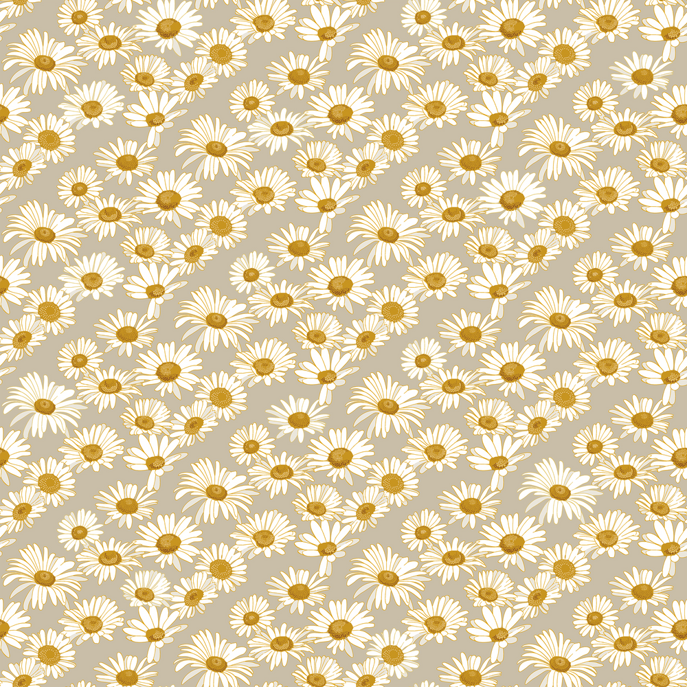 Daisies Wallpapers