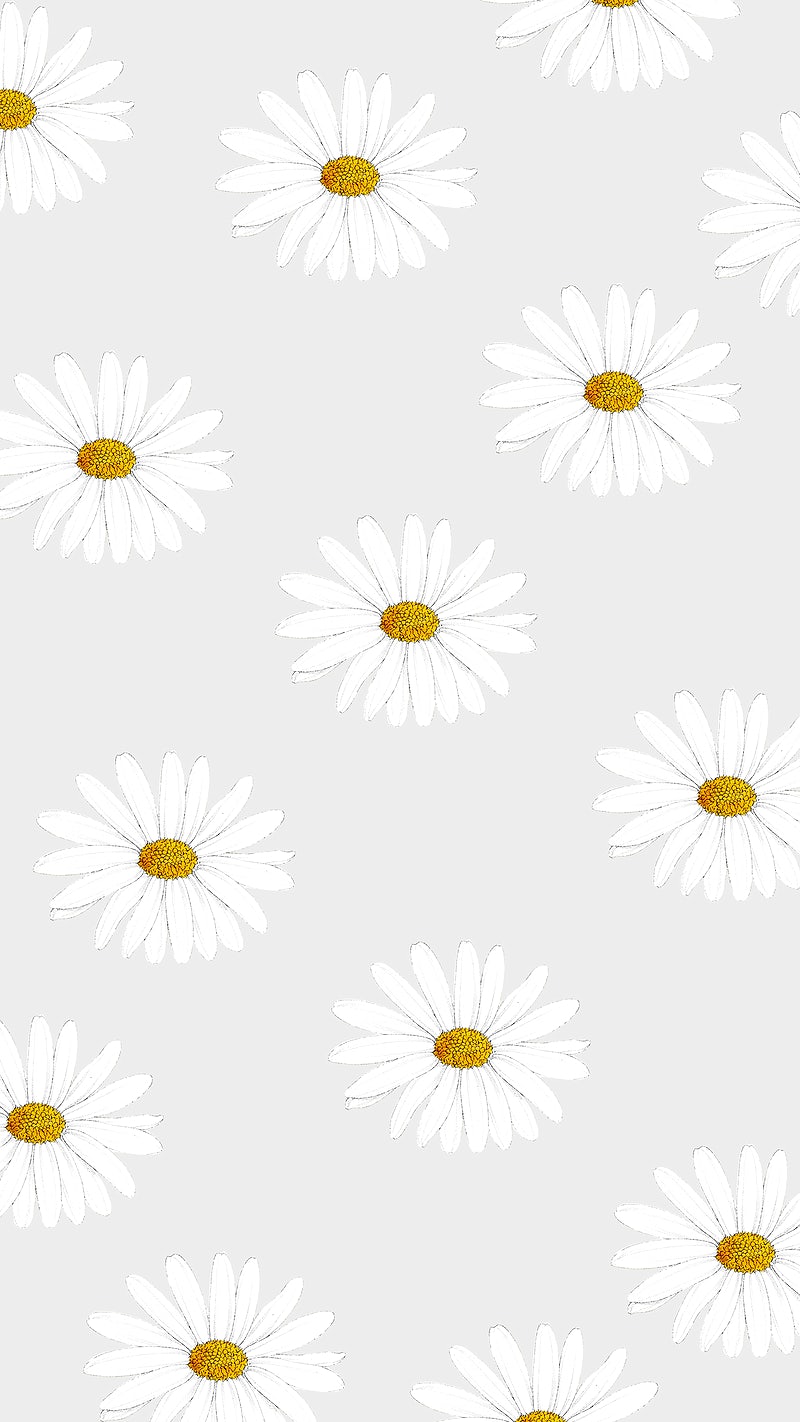 Daisies Wallpapers