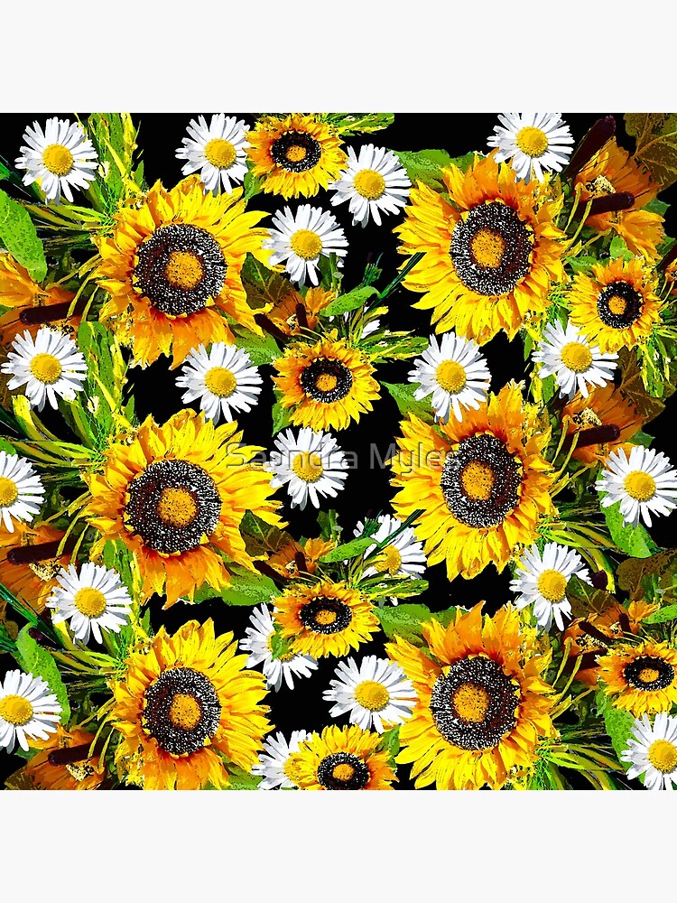 Daisy And Sunflower Wallpapers