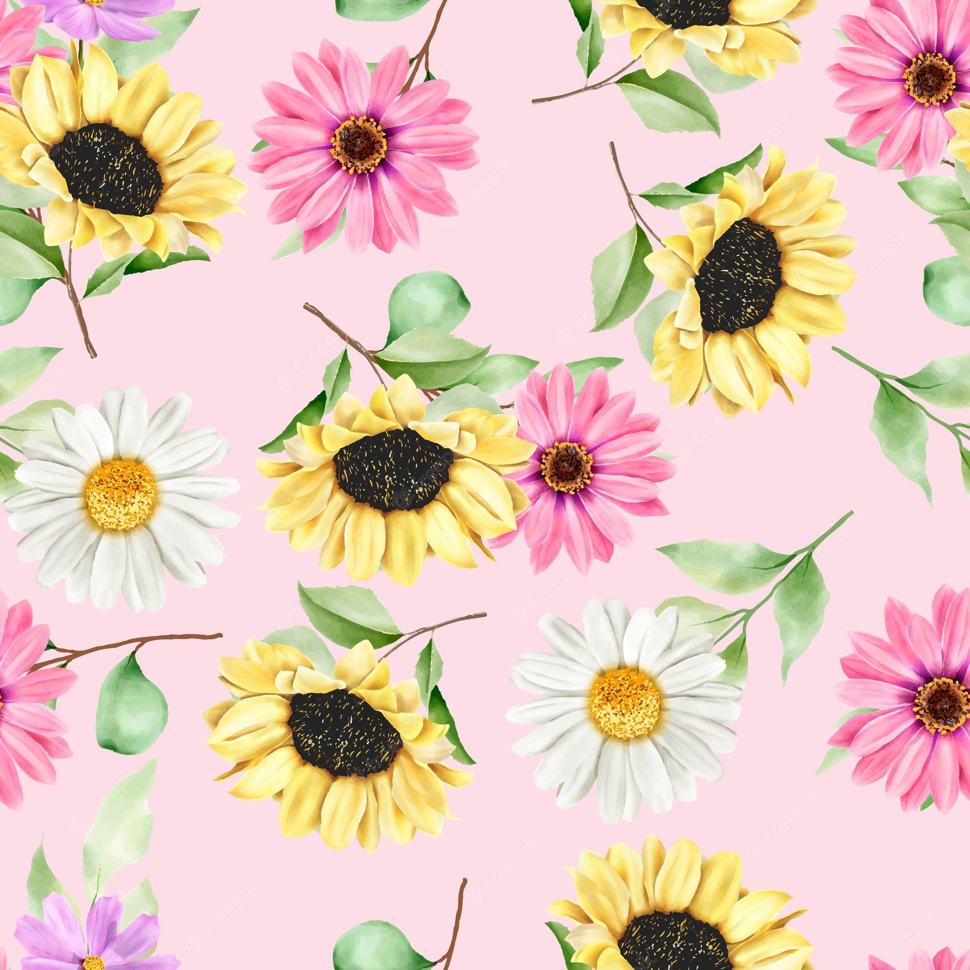 Daisy And Sunflower Wallpapers