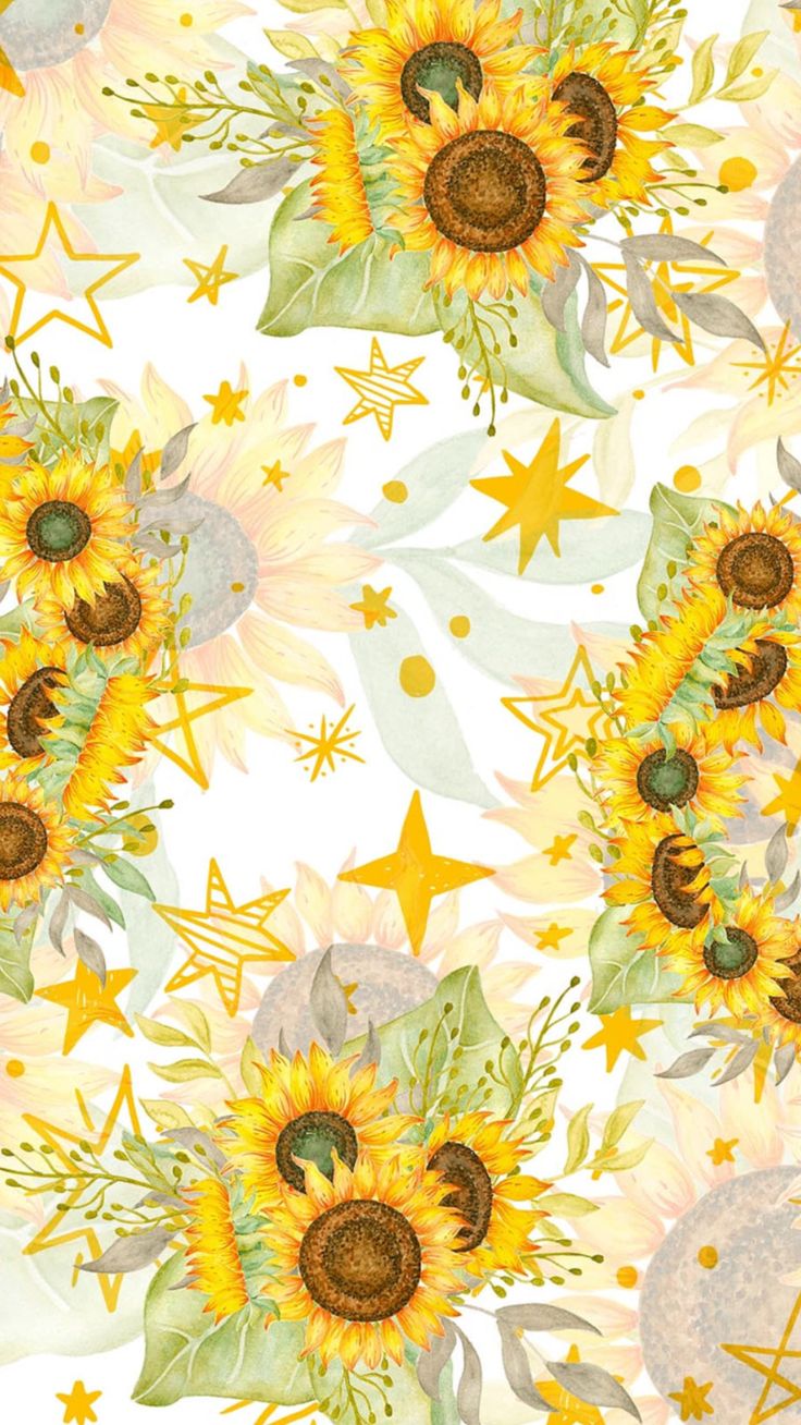 Daisy And Sunflower Wallpapers