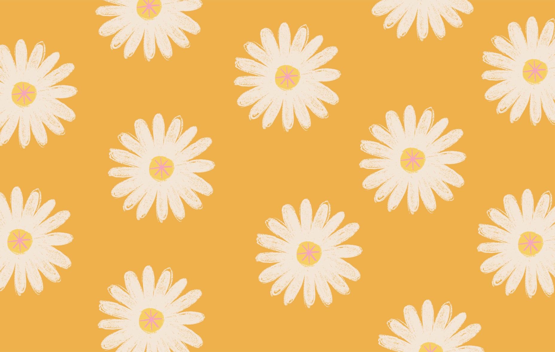 Daisy Desktop Wallpapers