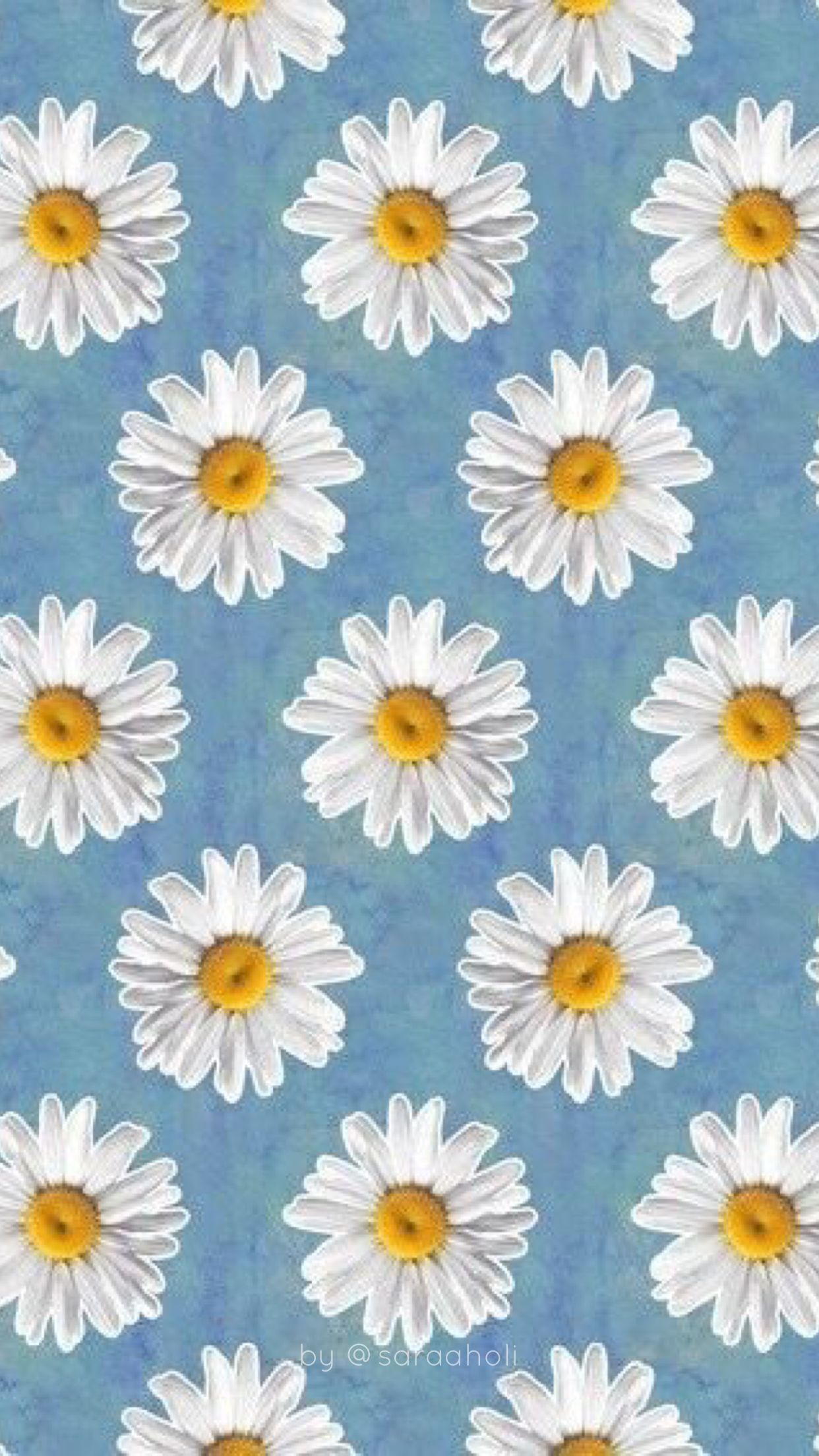 Daisy Phone Wallpapers
