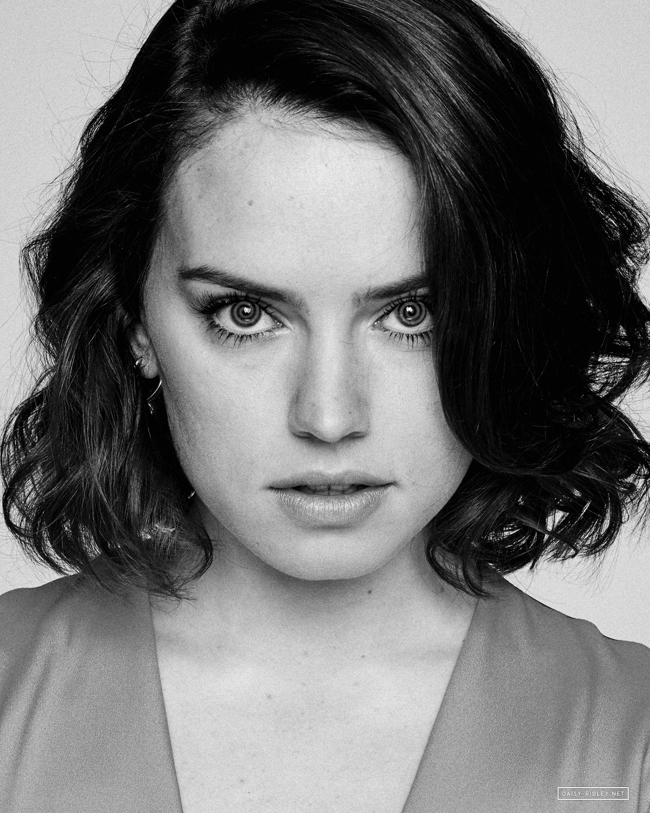 Daisy Ridley Wallpapers