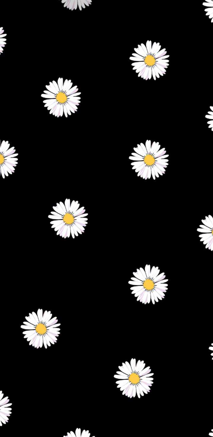 Daisy Wallpapers