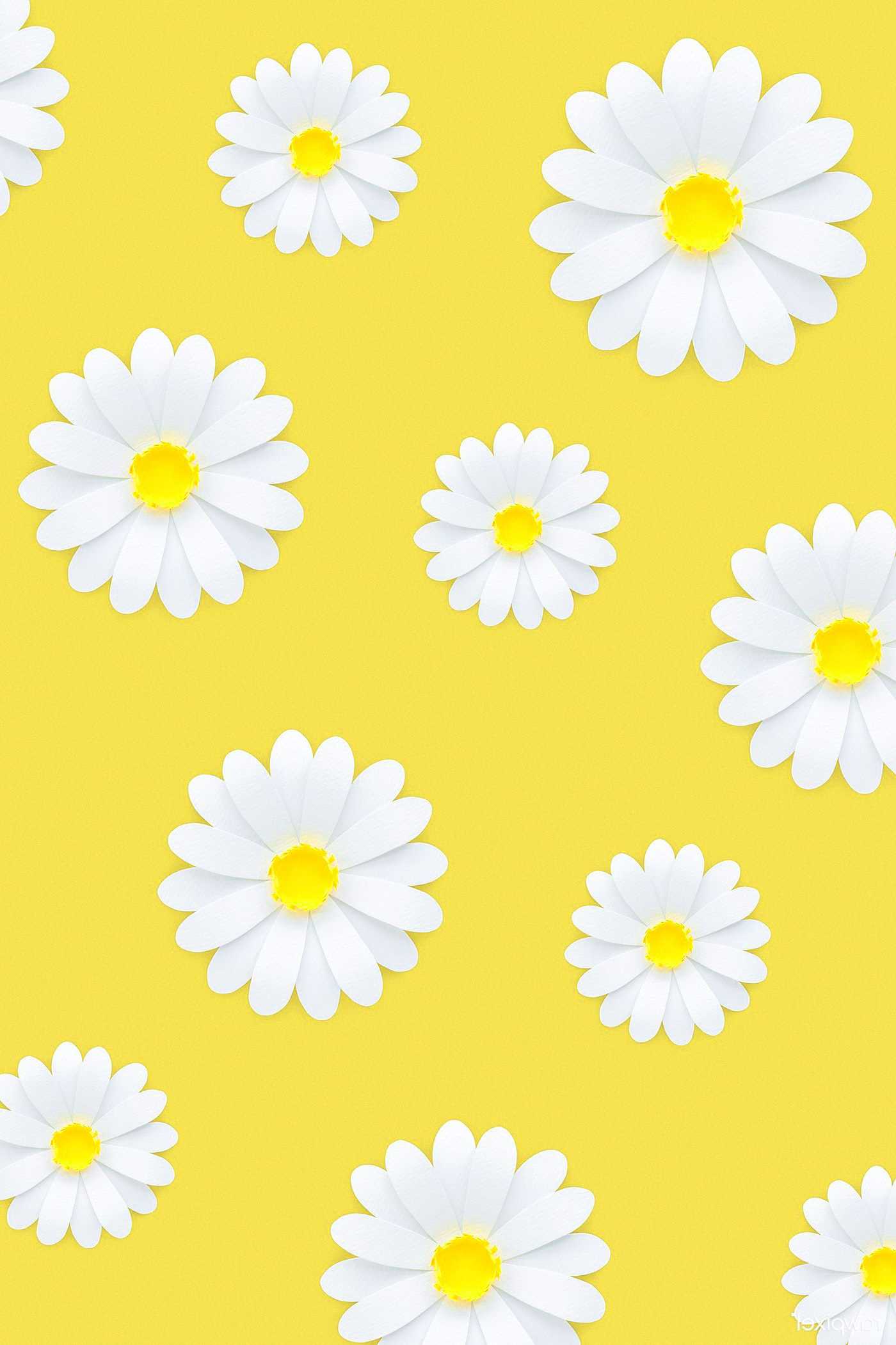 Daisy Wallpapers