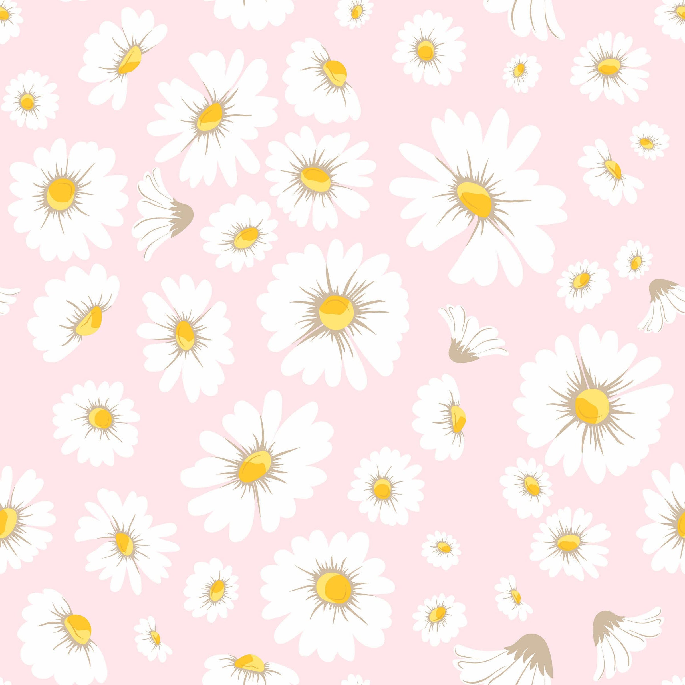 Daisy Wallpapers