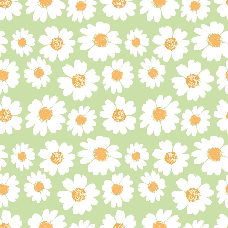 Daisy Wallpapers