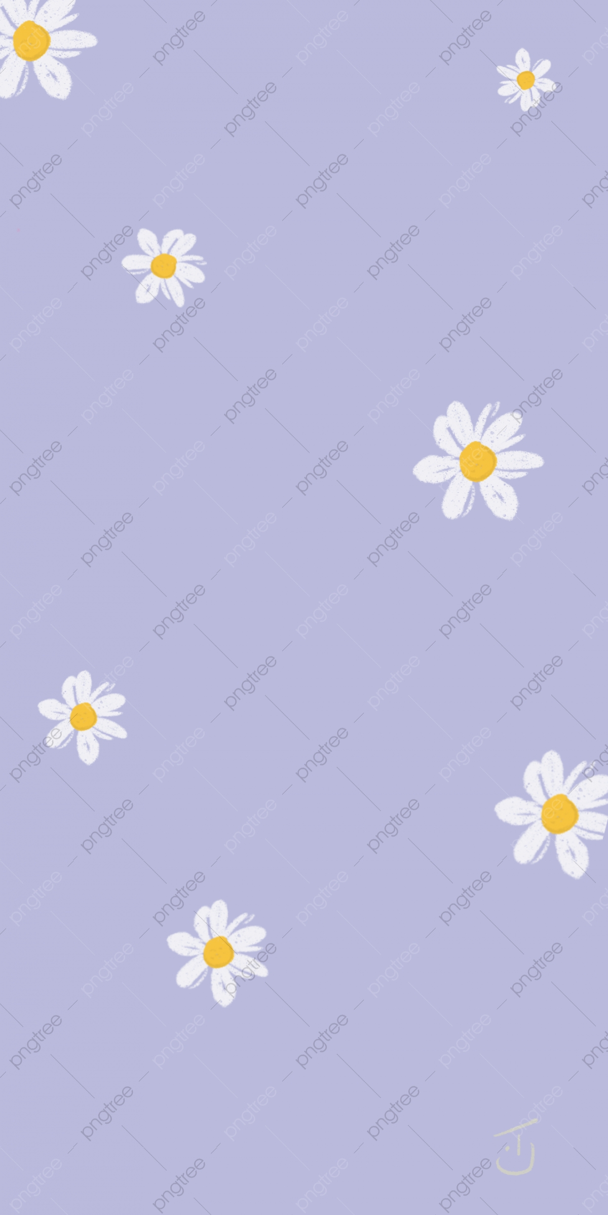 Daisy Wallpapers