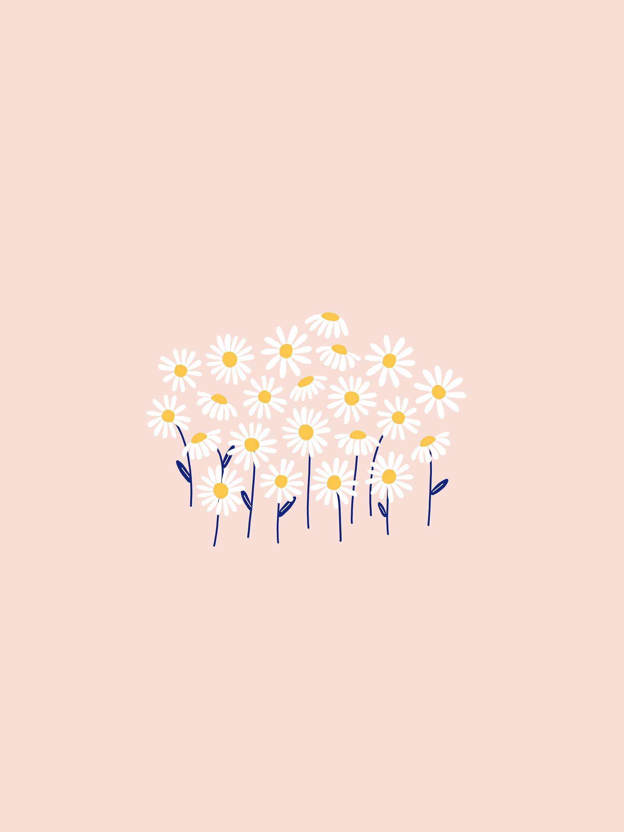 Daisy Wallpapers