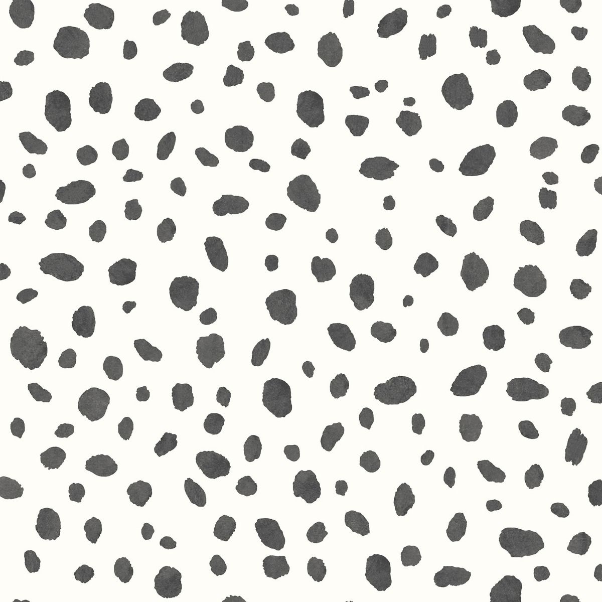 Dalmatian Iphone Wallpapers