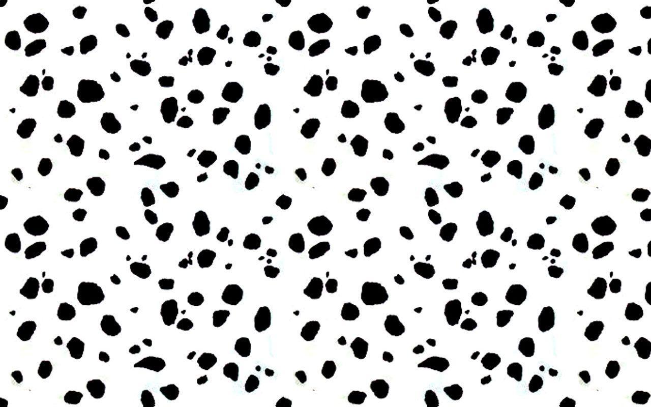 Dalmatians Wallpapers