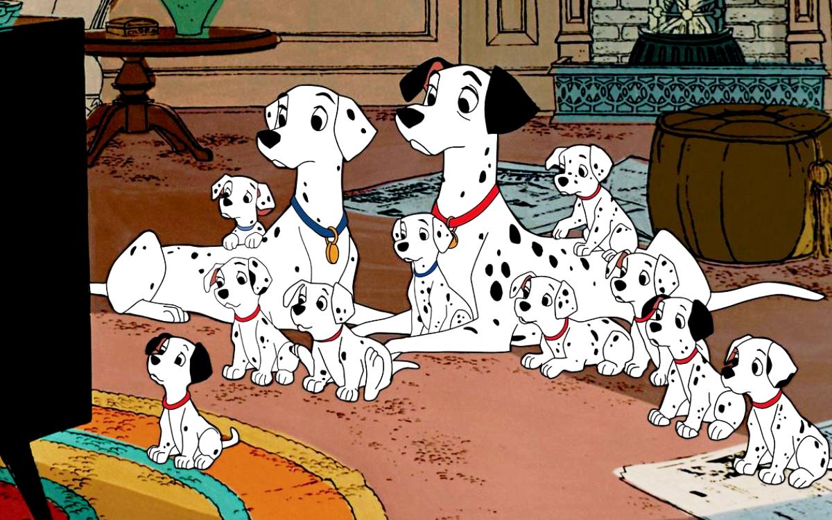 Dalmatians Wallpapers