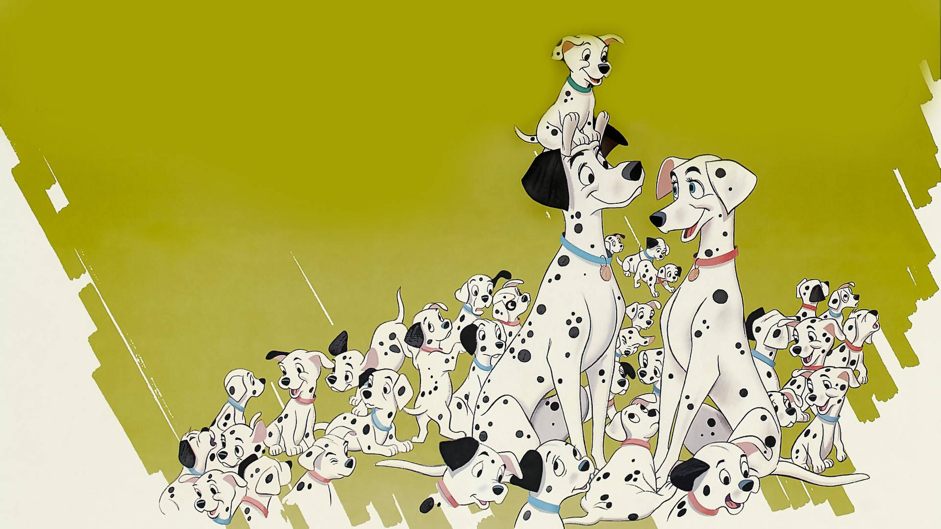 Dalmatians Wallpapers