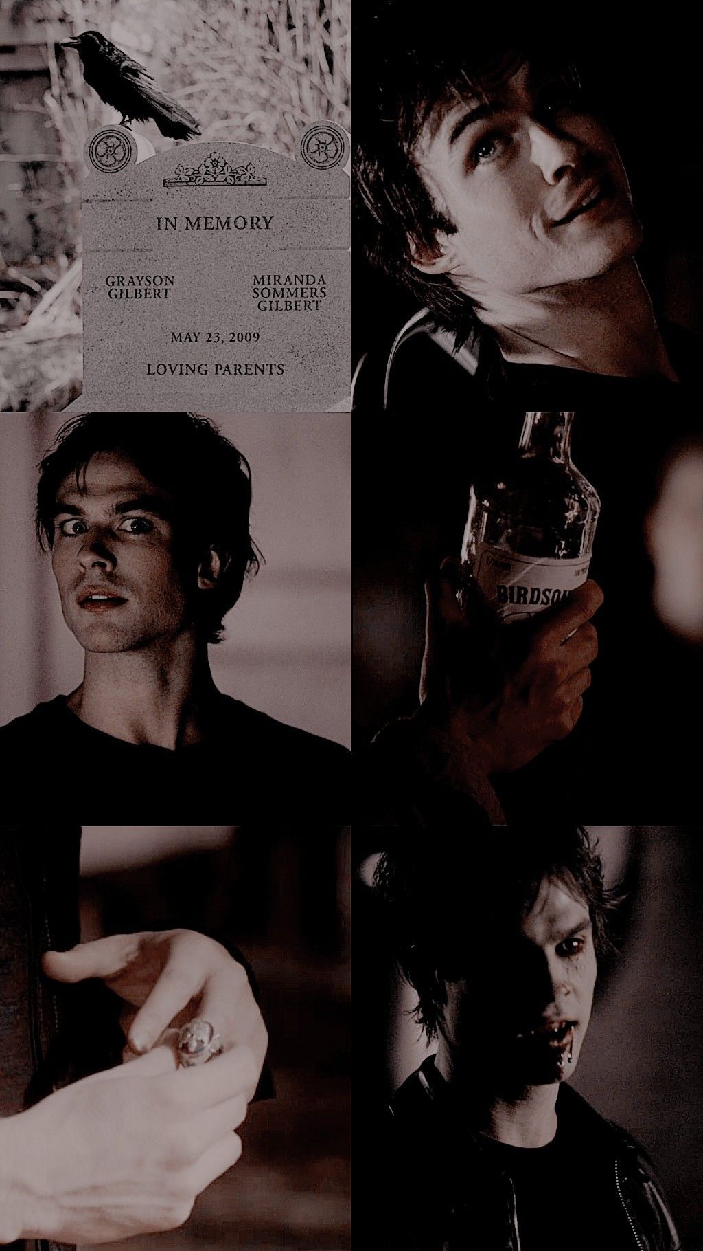 Damon Salvatore Wallpapers