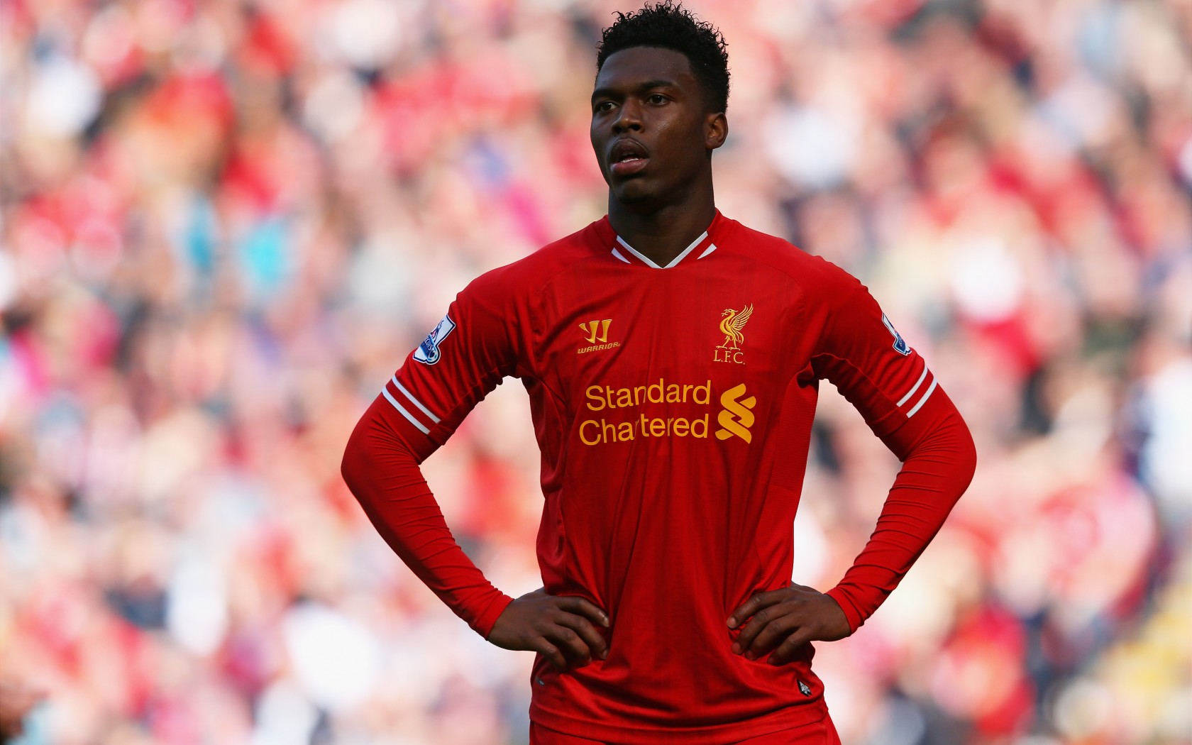 Daniel Sturridge Wallpapers