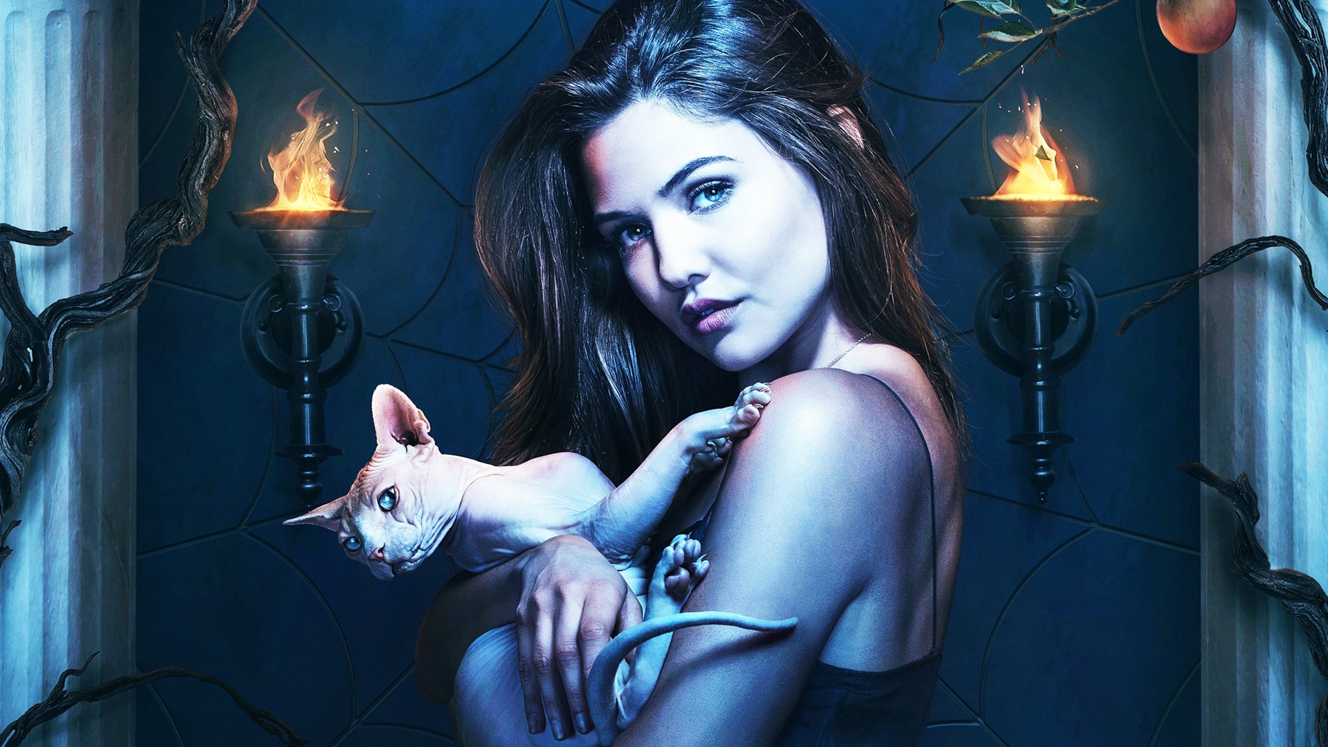 Danielle Campbell Wallpapers