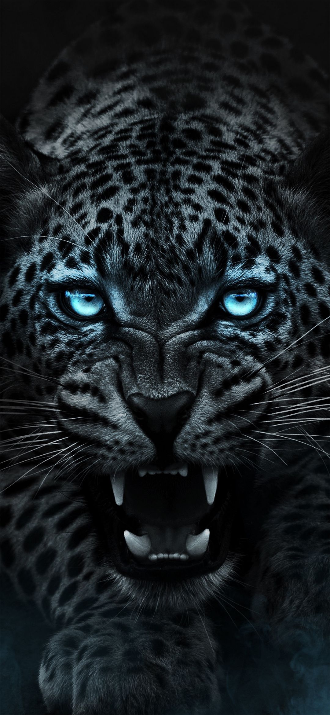 Dark Animals Wallpapers