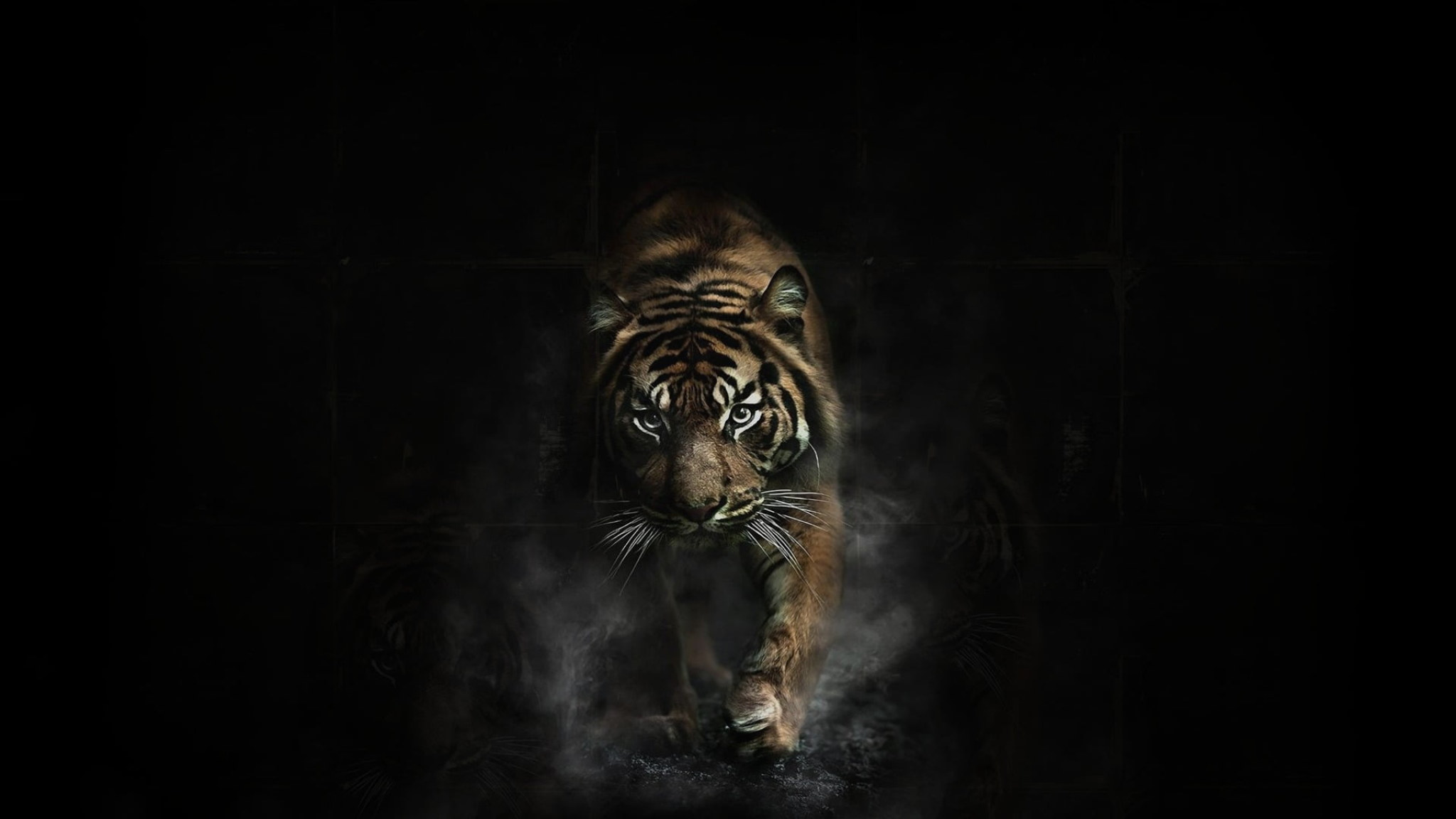 Dark Animals Wallpapers