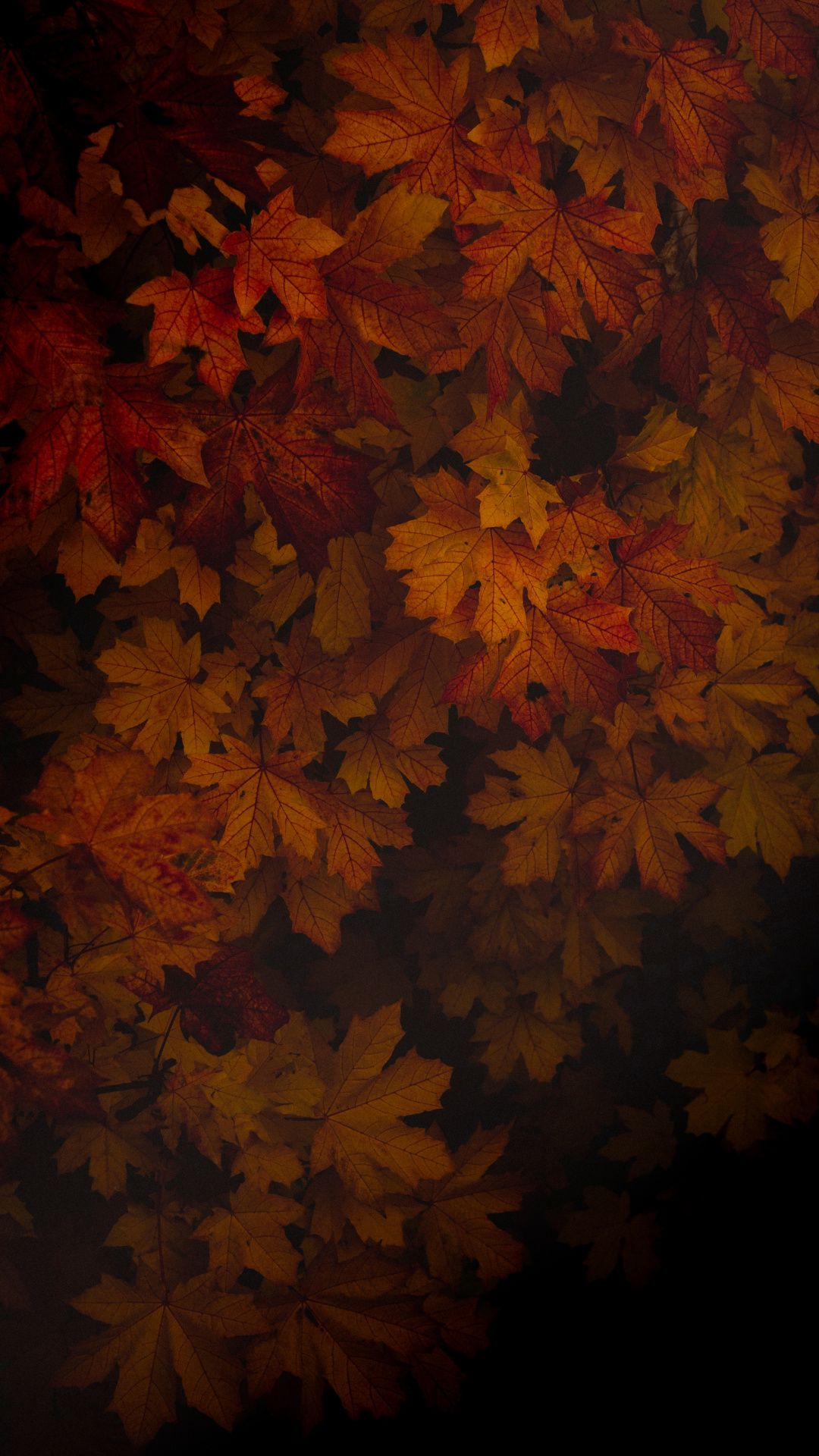 Dark Autumn Wallpapers