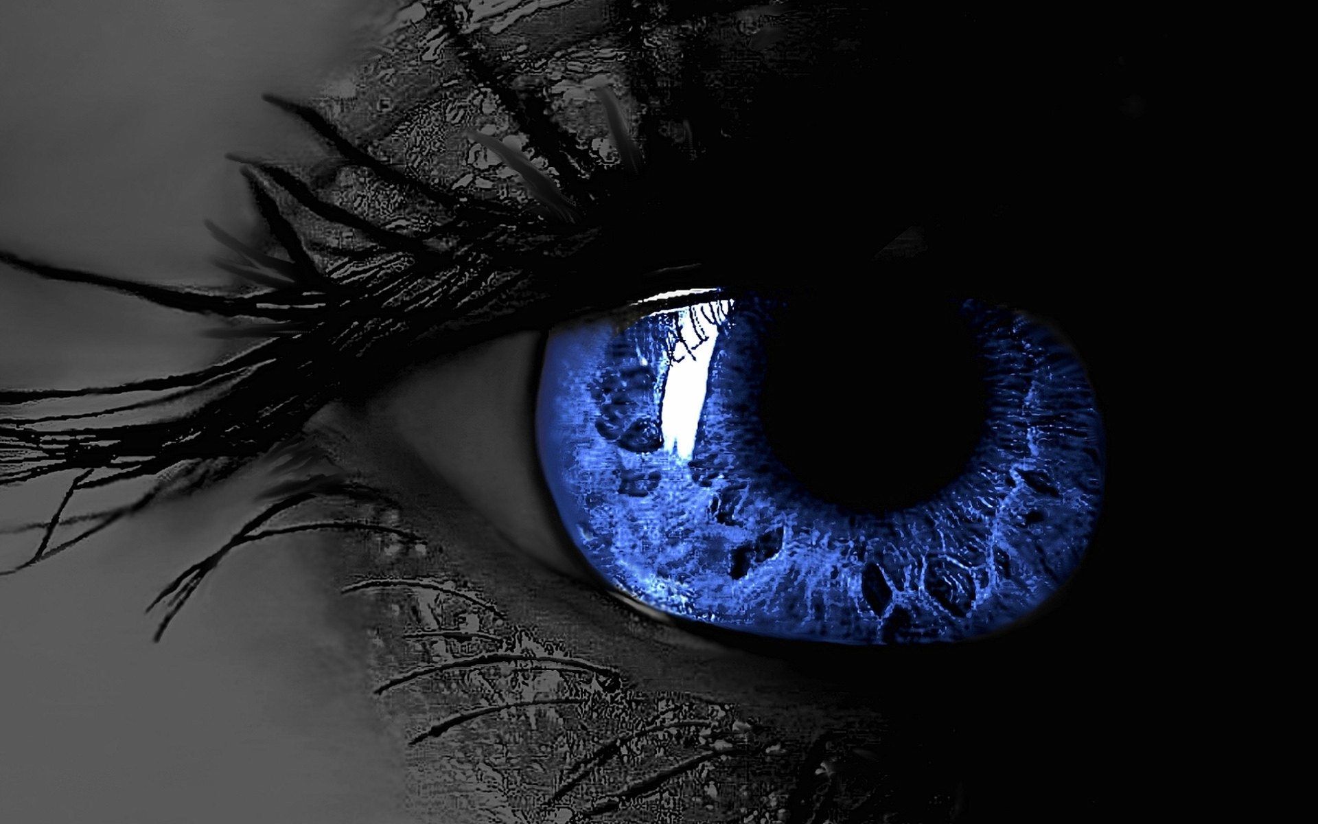 Dark Blue Artistic Eyes Wallpapers