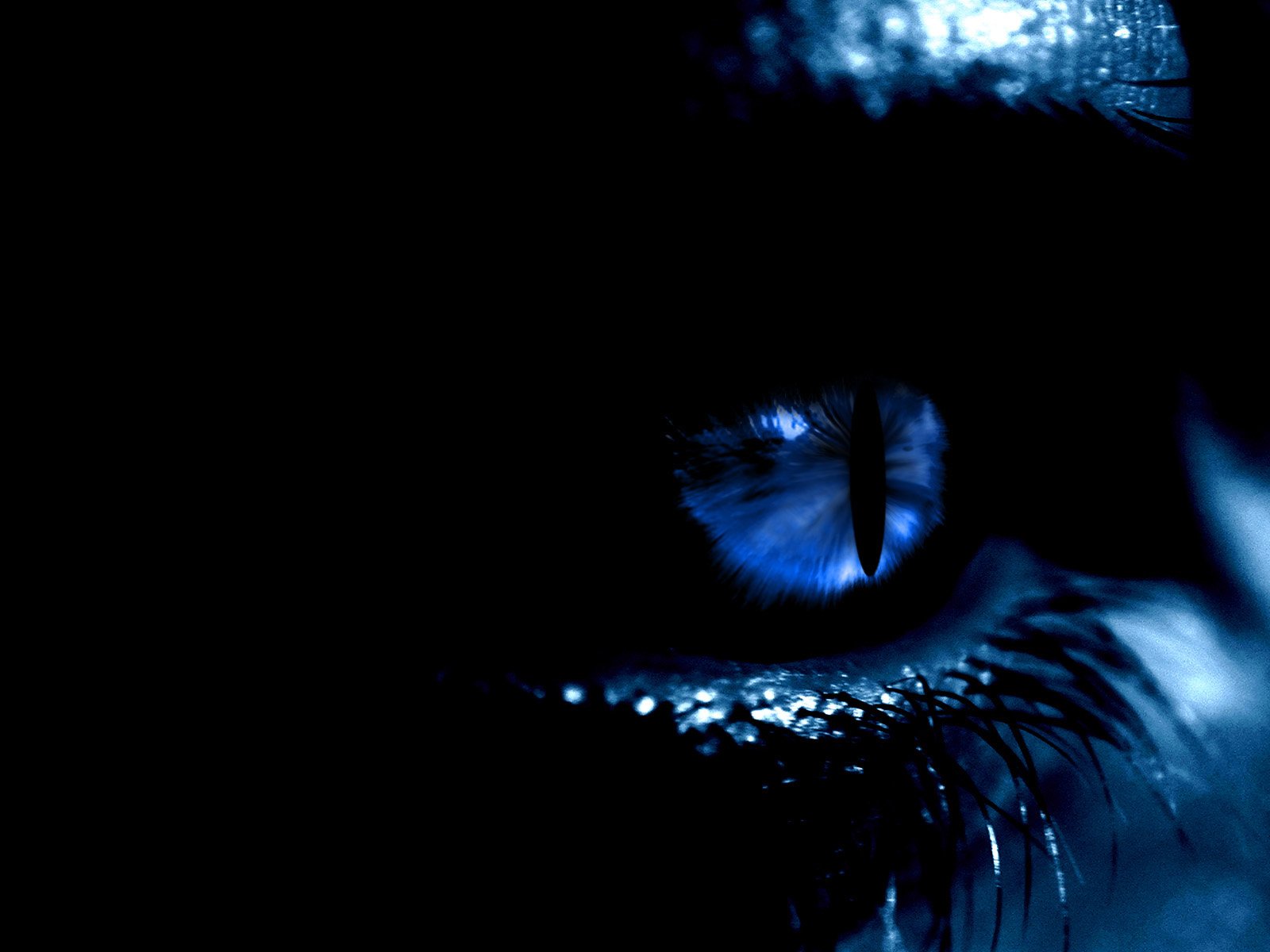 Dark Blue Artistic Eyes Wallpapers